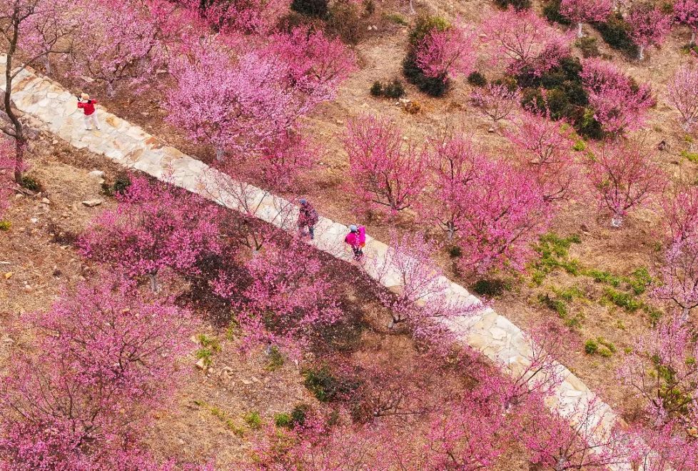 医药企业上市近乎“交白卷”，又一企业IPO终止审核