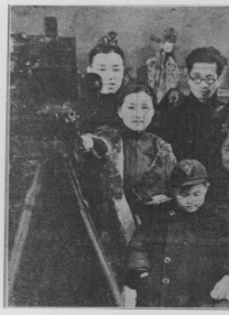 手机在线观看