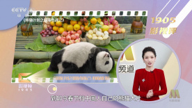 蓝光手机在线看